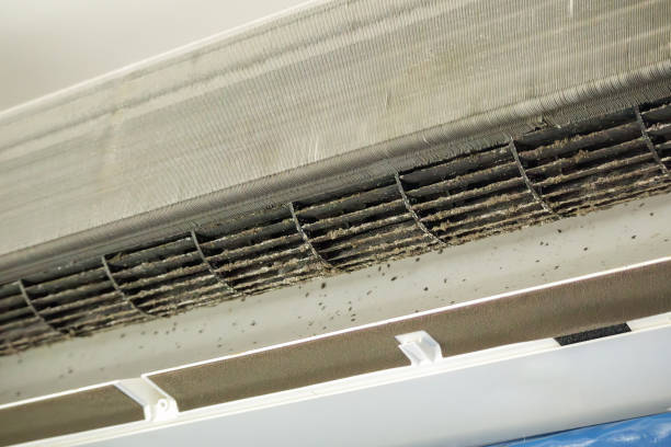 Best Affordable Air Duct Cleaning  in Fruit Heights, UT
